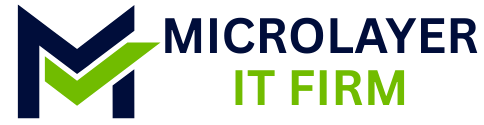 Microlayer IT Firm